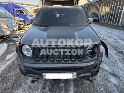 2018, Jeep / Renegade, VIN: 1C4BU0000JPJ01282, 90205 км., diesel