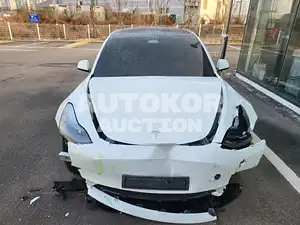 2021, Tesla / Model 3, VIN: 5YJ3E1EB0MF891882, 6642 км., electric