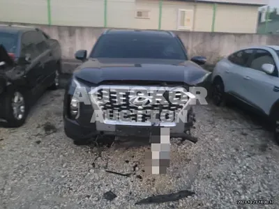 2020, Hyundai / Palisade, VIN: KMHR381EDLU133148, 45000 км., gas, 3800 куб.см.