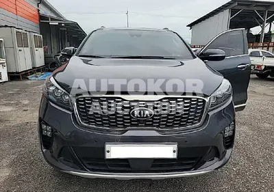 2019, Kia / Sorento, VIN: KNAPK81BDKA497075, diesel