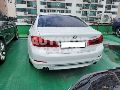 2019, BMW / 520, VIN: WBAJK7106KBP74425, gas