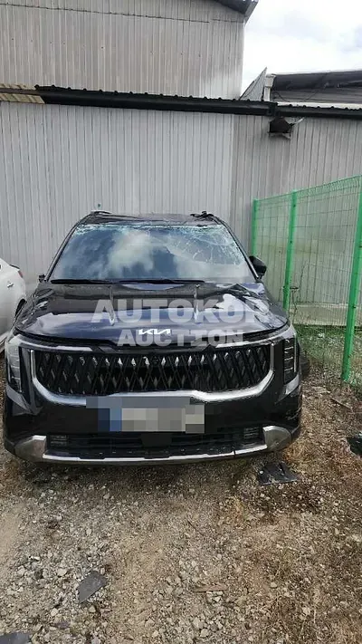 2024, Kia / Carnival, hybrid, 1600 куб.см.