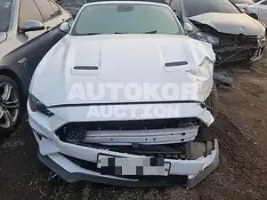 2019, Ford / Mustang GT, VIN: 1FATP8FF6K5190630, 25602 км., gas