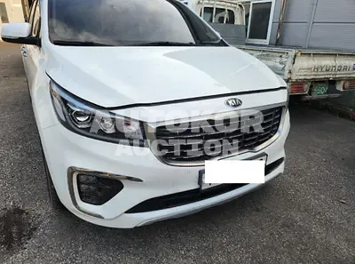 2019, Kia / Carnival, VIN: KNAME81ABKS544011, 208681 км., diesel