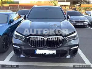 2022, BMW / X5 M, VIN: WBAJU4102N9L55248, gas