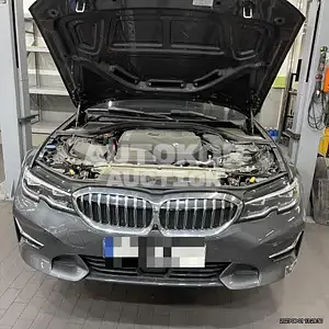 2021, BMW / 320, VIN: WBA5X5105MFL19925, 20384 км., gas
