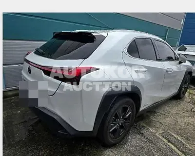 2019, Lexus / UX 250, 103370 км., hybrid, 1987 куб.см.