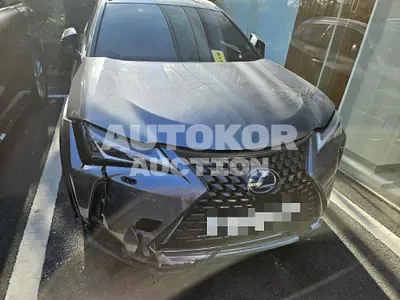 2019, Lexus / UX 250, 77324 км., hybrid