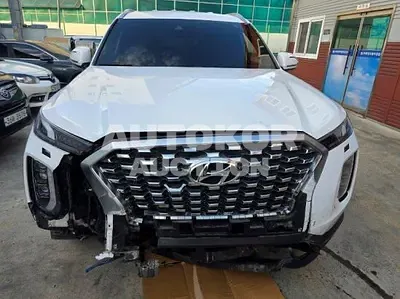 2020, Hyundai / Palisade, VIN: KMHR381ABLU128446, 67116 км., diesel, 2200 куб.см.