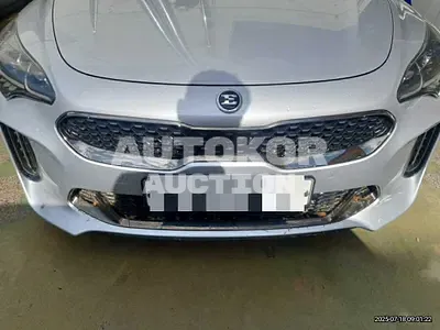 2017, Kia / Stinger, 81378 км., gas, 3300 куб.см.