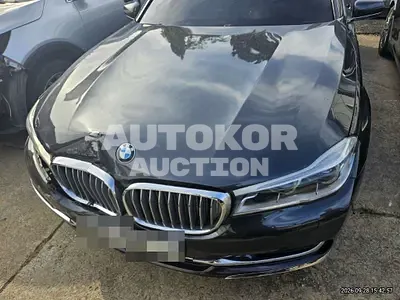 2016, BMW / 750, 231734 км., gas