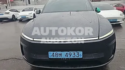 2025, Tesla / Model Y, electric