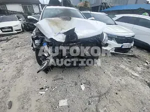 2017, Hyundai / Santa FE, VIN: KMHSW81UBHU742708, diesel