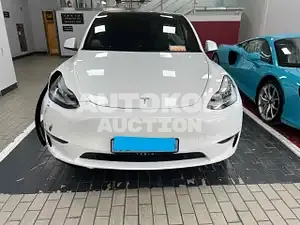 2021, Tesla / Model Y, VIN: 5YJYGDEE7MF168493, electric