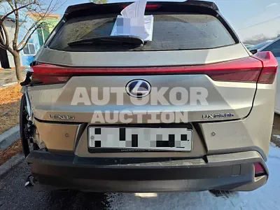 2019, Lexus / ux250h, 45334 км., hybrid