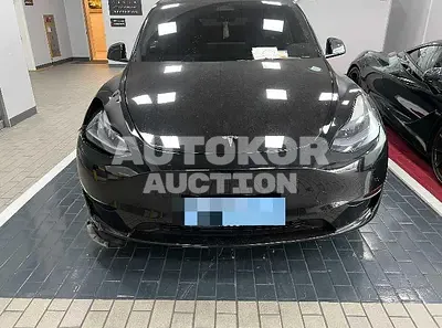 2023, Tesla / Model Y, 26499 км., electric, 173 куб.см.