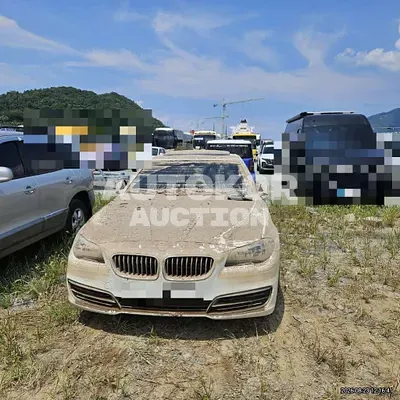 2015, BMW / 520, 20036 км., diesel