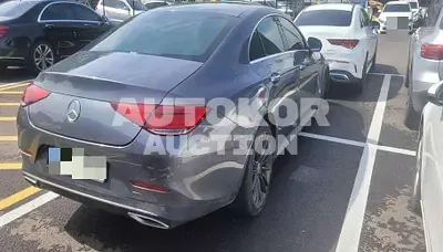 2019, Mercedes-Benz / CLS 400, 123729 км., diesel, 2925 куб.см.