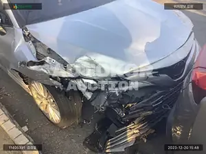 2019, Toyota / Camry, VIN: JTNB11HK6K3099731, gas