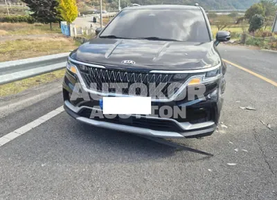 2021, Kia / Carnival, 59343 км., diesel, 2200 куб.см.