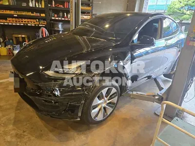 2023, Tesla / Model Y, electric