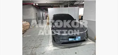 2026, Tesla / Model Y, 1029 км., electric, 239 куб.см.