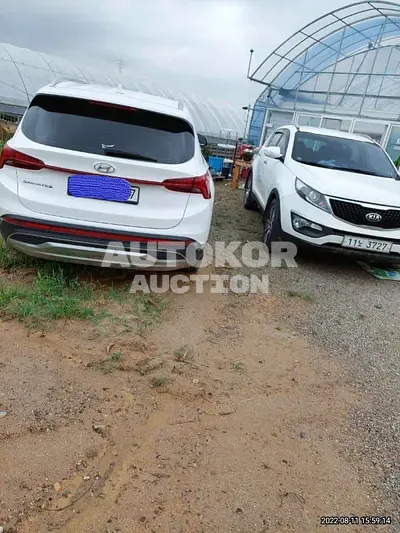 2021, Hyundai / Santa FE, VIN: KMHS381HGMU309772, 20000 км., diesel