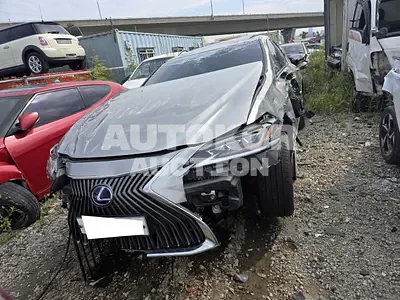 2019, Lexus / ES 300, VIN: JTHB21B18K2053890, 84880 км., hybrid