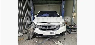 2016, Kia / Carnival, 191105 км., diesel, 2200 куб.см.