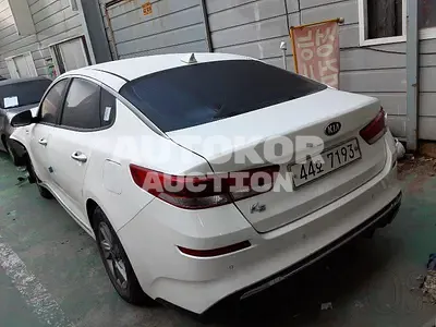 2019, Kia / K5, VIN: KNAGS416BKA287619, 77196 км., lpg