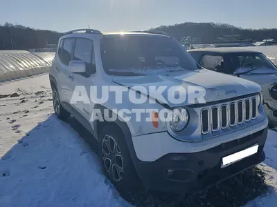 2018, Jeep / Renegade, VIN: 1C4BU0000HPG67175, 41546 км., diesel