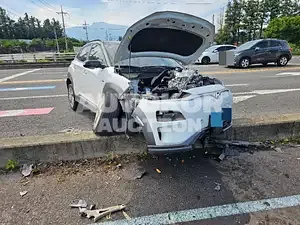 2019, Hyundai / Kona, VIN: KMHK381GFKU046213, 60000 км., electric, 356 куб.см.