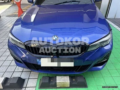 2019, BMW / 320, 93750 км., diesel