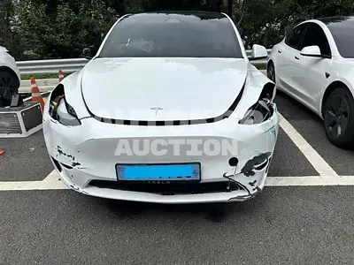 2024, Tesla / Model Y, VIN: LRWYGCFS7RC415995, 21139 км., electric, 1 куб.см.