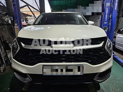2021, Kia / Sportage, VIN: KNAPT81BGNK009751, 68826 км., gas, 1600 куб.см.
