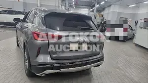 2019, Infiniti / QX50, VIN: 3PCAJ5M31KF141988, 49815 км., gas
