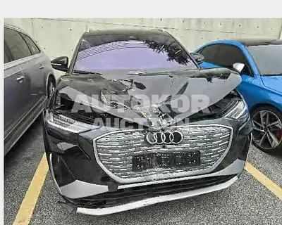 2024, Audi / e-tron, 58807 км., electric, 234 куб.см.