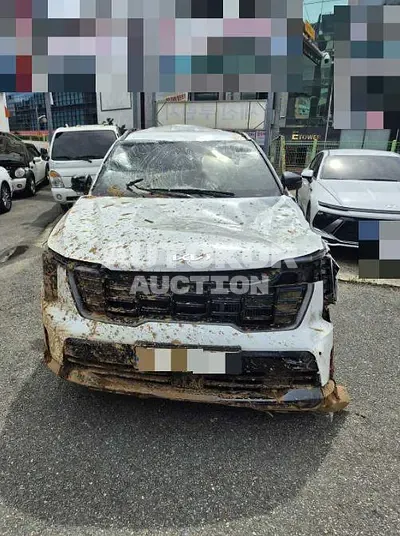 2024, Kia / Sorento, 17235 км., hybrid, 1598 куб.см.