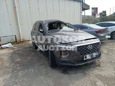 2019, Hyundai / Santa FE, diesel