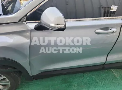 2019, Hyundai / Santa FE, VIN: KMHS281BBKU058978, diesel