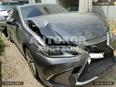 2019, Lexus / ES 300, VIN: JTHB21B16K2041222, hybrid