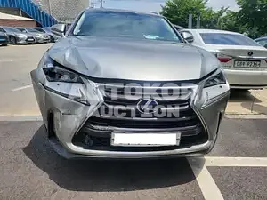 2016, Lexus / NX 300, VIN: JTJBJRBZ2G2047211, hybrid