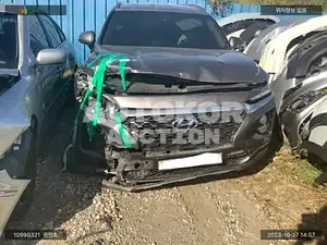2019, Hyundai / Santa FE, VIN: KMHS381BBKU135688, diesel