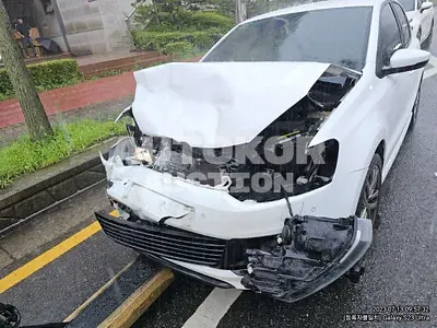 2016, Volkswagen / Polo, VIN: WVWZZZ6RZGY034495, diesel