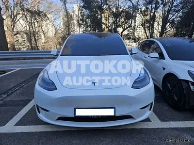 2023, Tesla / Model Y, VIN: 7SAYGDEE2PF642020, 37146 км., electric