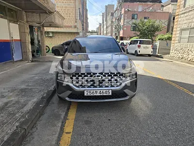 2021, Hyundai / Santa FE, VIN: KMHS281HGMU396838, 323500 км., diesel, 2151 куб.см.