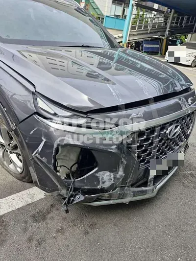 2019, Hyundai / Santa FE, 54109 км., gas, 2000 куб.см.