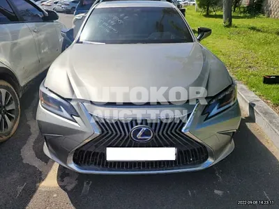 2021, Lexus / ES 300, VIN: JTHBA1C18M2003186, 70000 км., hybrid