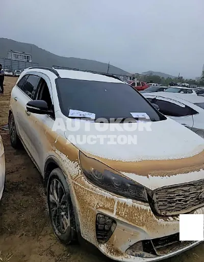 2019, Kia / Sorento, VIN: KNAPK81ABKA486663, diesel