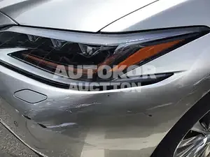 2019, Lexus / ES 300, unknown